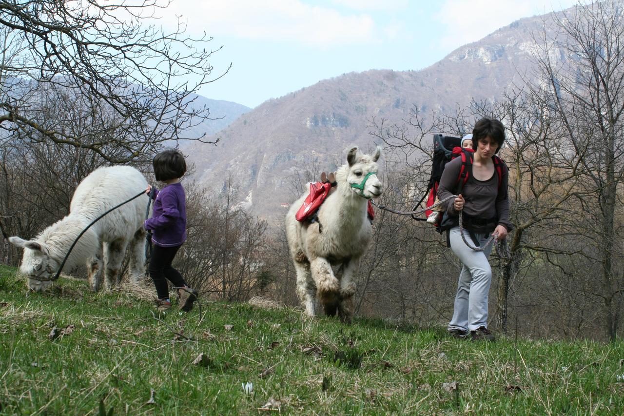 Bed and Breakfast Il Capriolo Felice - Agriturismo Lastebasse Экстерьер фото